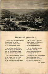 Munster (Haut-Rhin) à Munster