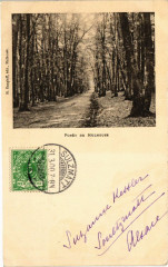 Foret de Mulhouse à Mulhouse