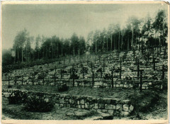 Deutscher Soldatenfriedhof