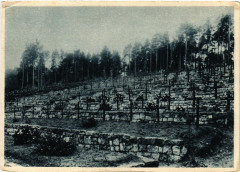 Deutscher Soldatenfiredhof