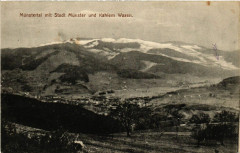 Munstertal mit Stadt Munster und Kahlem Wasen à Munster