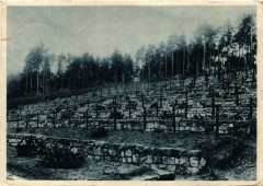 Deutscher Soldatenfriedhof - Breitenbach i. Ob.-Els.