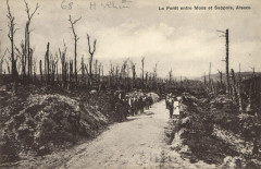 La Foret entre Moos et Seppois Alsac -
													68 Haut Rhin
												