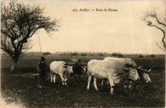 Auffay Dans la Plaine -
													76 Seine Maritime
												