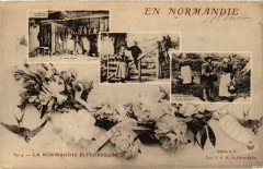 La Normandie Pitt.