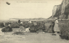 Le Treport - La peche das les roches au Tréport