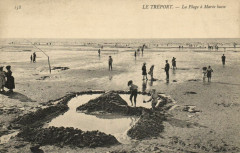 Le Treport - La Plage a Marée basse -
																					76470 Le Tréport
																			