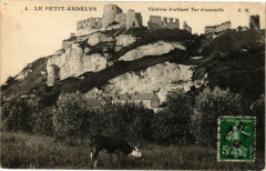 Le Petit-Andely - Chateau Gaillard Vue d'ensemble