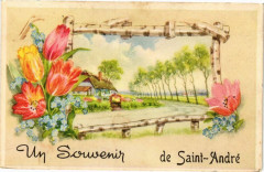 Un Souvenir de Saint-Andre