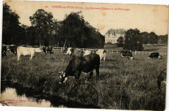 Conde-sur-Iton - Le Noveau Chateau et les Paturages -
													27 Eure
												