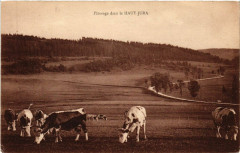 Paturage dans le Haut Jura -
													39 Jura
												
