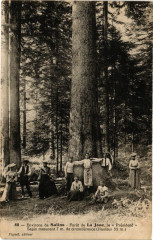 Foret de la Joux - Le Pesdident