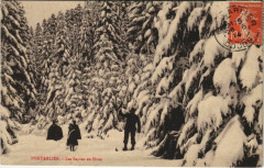 Pontalier Les Sapins en Hiver France -
													25 Doubs
												
