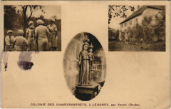 Leugney - Colonie des Chardonnerets