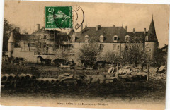 Vieux Chateau de Bournet