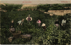 Les Vendanges