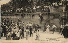 Moeurs et Coutomes de la Provence Une Arrivée de Taureaux