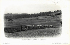 Causse de Sauveterre - Laboureurs -
													48 Lozère
												
