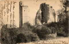 Ruines du Chateau de Chalucet -
													87 Haute Vienne
												