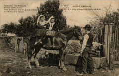Notre Limousin - Une chevauchée dans les Bois
