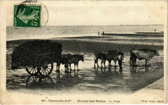 Ronce-les-Bains La PLage