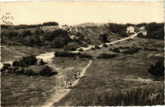 Ile d'Oleron - Domino - Les Dunes