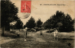 Chatelaillon - Dans le Parc -
													17 Charente Maritime
												