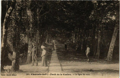 Charente-Inf. - Foret de la Coubre - La ligne du tram -
													17 Charente Maritime
												
