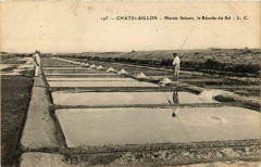 Chatelaillon - Marais Salants la Récolte du Sel