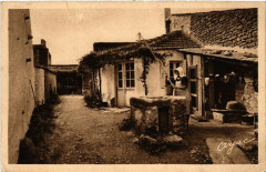 Domino - Ile d'Oleron - Ile d'Oleron - Coin Rustique