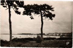 Rivedoux - Vue sur la Baie -
													17 Charente Maritime
												