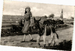 Ile-de-Re L'Ane en Culottes