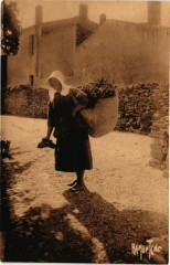 L'Ile-de-Re - Retour des Champs