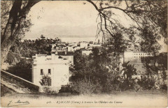 Ajaccio A travers les Oliviers du Casone Corsica à Ajaccio