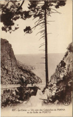 Piana - Porto - Calanches - Golfe Corsica - Corse à Piana