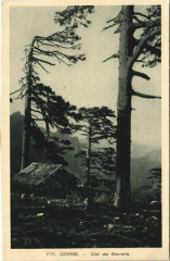Col de Bavella Corsica - Corse