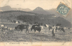Le Mont Dore Paturage à Mont-Dore