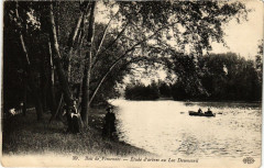 Bois de Vincennes - Etude d'arbres au Lac Daumesnil à Paris