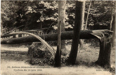 Paris 12e Bois de Vincennes Cyclone du 16 juin 1908 -
																					75012 Paris 12e
																			