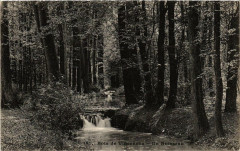 Paris 12e Bois de Vincennes Un Ruisseau à Paris 12e