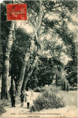 Paris 12e Le Bois de Vincennes Pittoresque Une Allée à Paris 12e