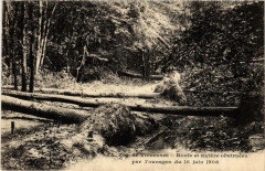 Bois de Vincennes - Route et rivière obstruées par l'ouragan du 16 juin 1908 à Paris 12e