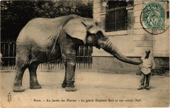 Carte postale ancienne Paris 5e Au Jardin des Plantes grand Eléphant Saib son cornac
                                                                     à Paris 5e
                                