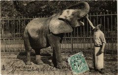 Paris 5e Jardin des Plantes Toby Eléphant d'Afrique à Paris 5e