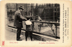 Le Jardin d'Acclimatation - Chiens danois à Paris