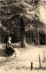 Carte postale ancienne Le Bois de Vincennes - Lac Daumesnil - Ile de Reuilly
                                                                     à Paris 12e
                                