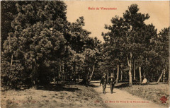 Bois de Vincennes - Le Bois de Pins à la Demi-Lune à Paris