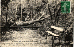 Bois de Vincennes - Le Cyclone du 16 juin 1908 - Vue d'une route après l'ouragan - Un banc est soulevé par la chute d'un arbre à Paris 12e