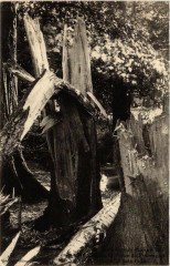 Paris 12e Le cyclone du 16 juin 1908 à Paris 12e