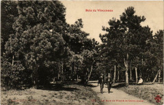 Carte postale ancienne Bois de Vincennes - Le Bois de Pins à la Demi-Lune
                                                                     à Paris
                                